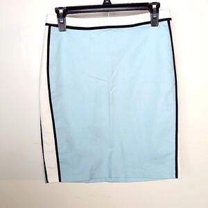 Metaphor Pinstripe Blue and White Colorblock Skirt Sz 6